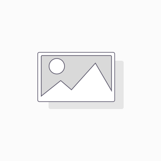 B And M Automotive - Power Switch