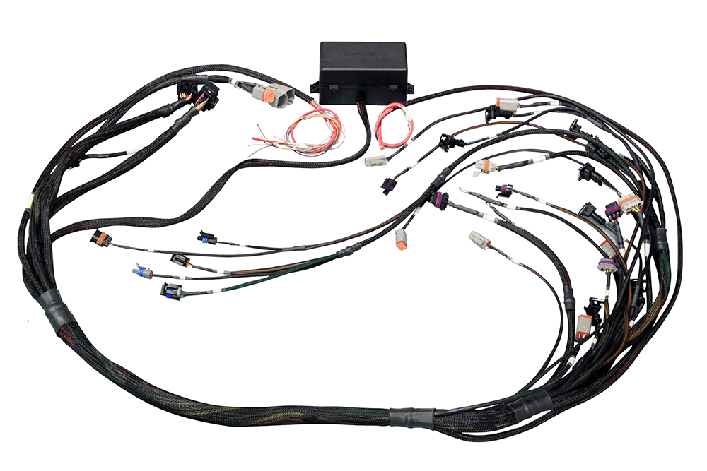 [HTHHT-141364] Haltech - Elite 2000/2500 Non DBW Terminated Wire Harness