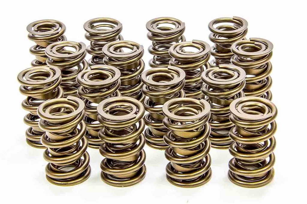 [ISK9955-RAD] Isky Cams - 1.625 Valve Springs